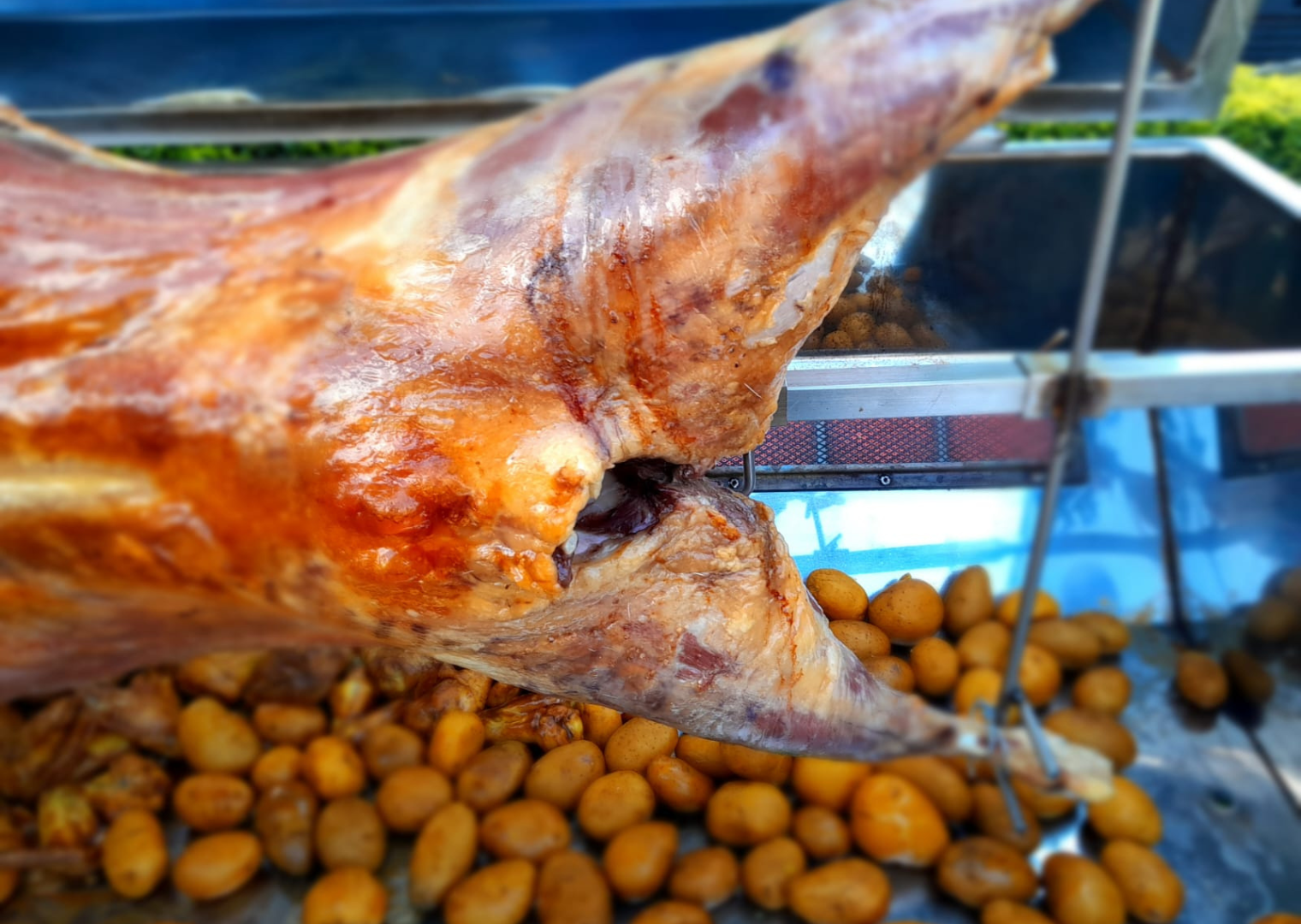 Spit Braai Catering Options